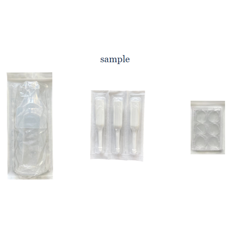 Finished blister packs in various sizes, offering excellent sealing and moisture protection.