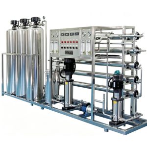Industrial 1000LPH Two Stage EDI RO Water System Supplier