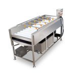fruit and vegetable washing machine with nylon brush rollers for food processing