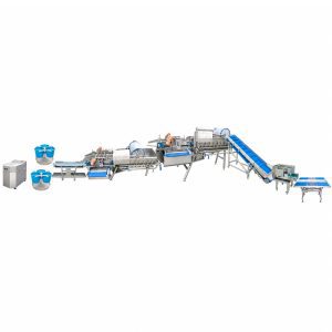 Automatic Fruit Vegetable Washing and Processing Line