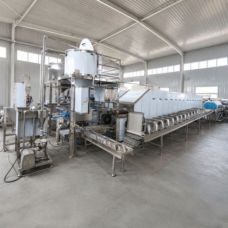 Automatic rice cooking production line installed for large scale processing