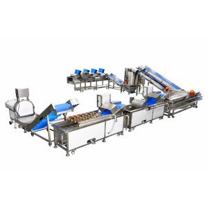 Automatic Vegetable Salad Processing Line for Central Kitchen