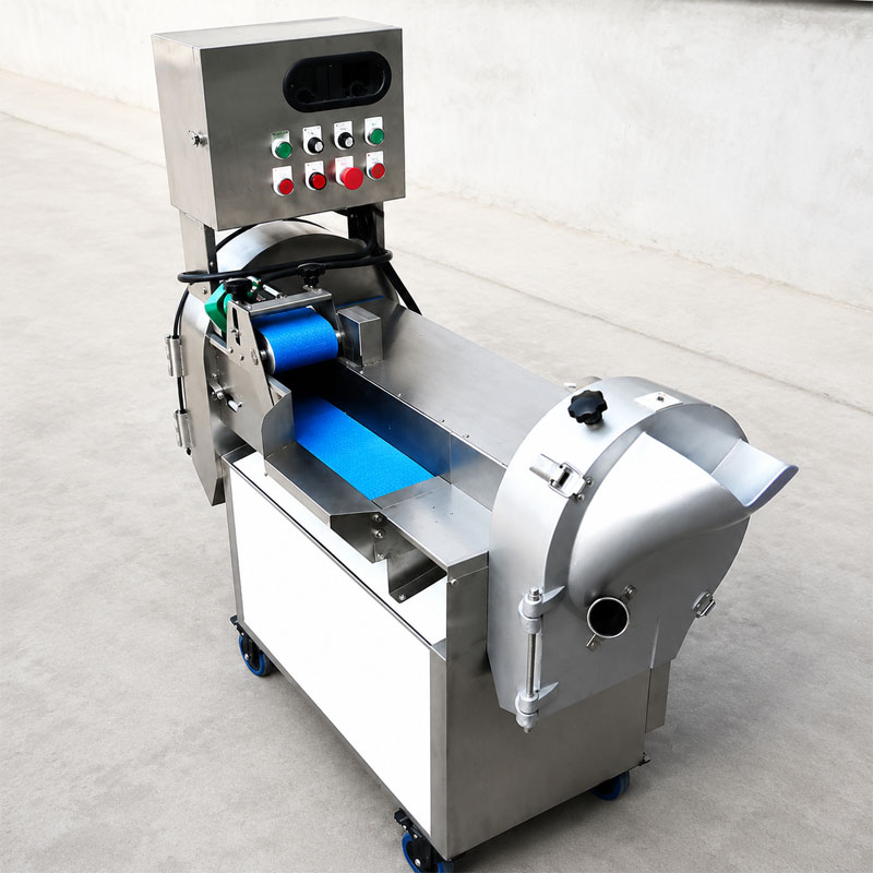 vegetable cutting machine in food processing factory workshop