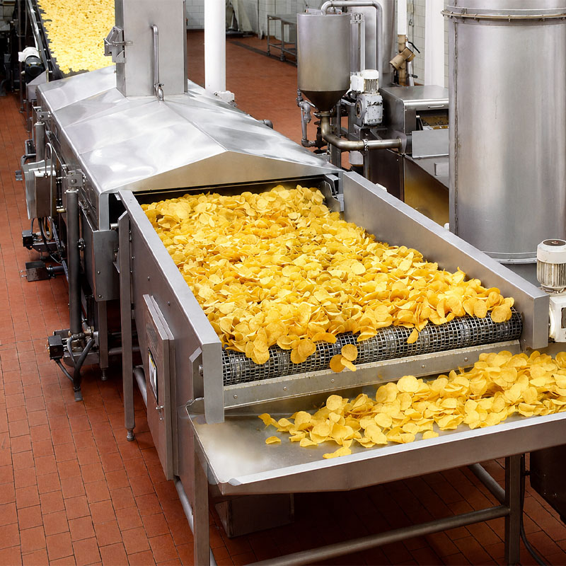 Continuous fryer application in large scale food processing production