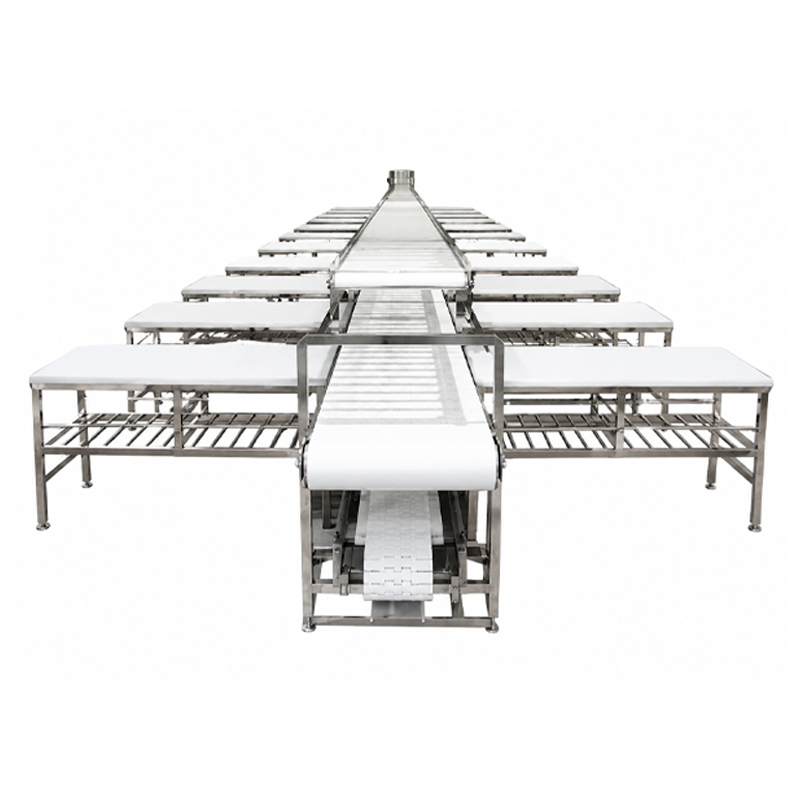 Stainless steel poultry meat loading conveyor system for automated processing lines.