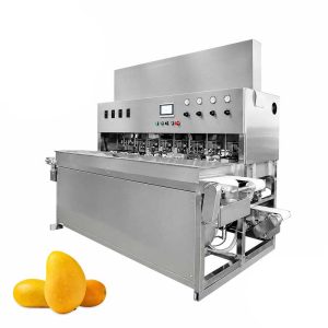 Automatic fruit peeling machine for food processing