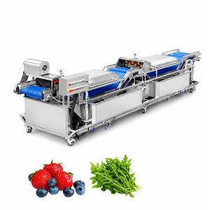 Industrial fruit and vegetable spray washing machine