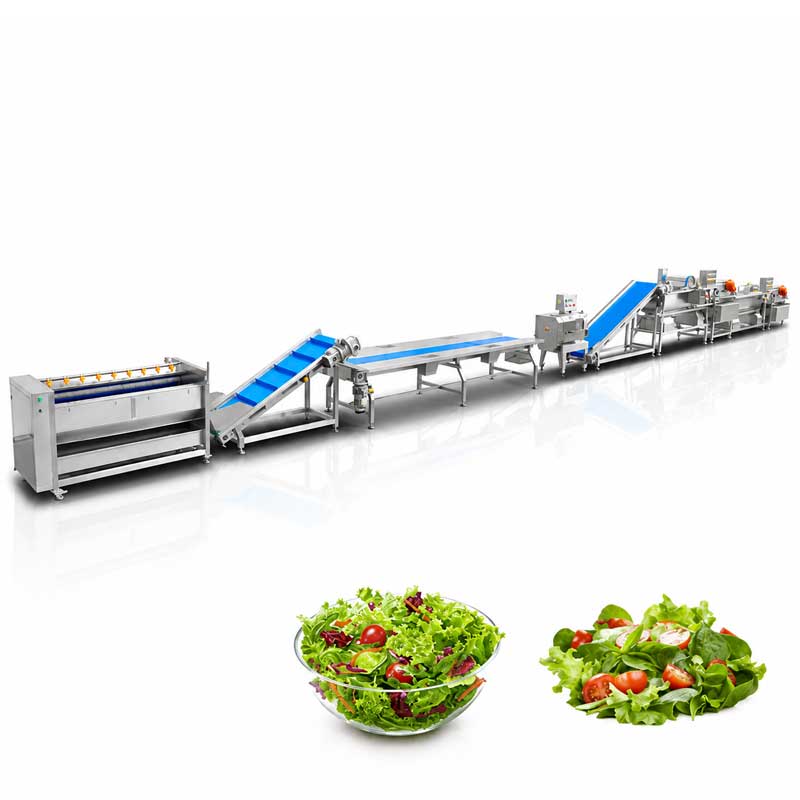 Automatic salad and leafy greens processing line Automatic salad and leafy greens processing line