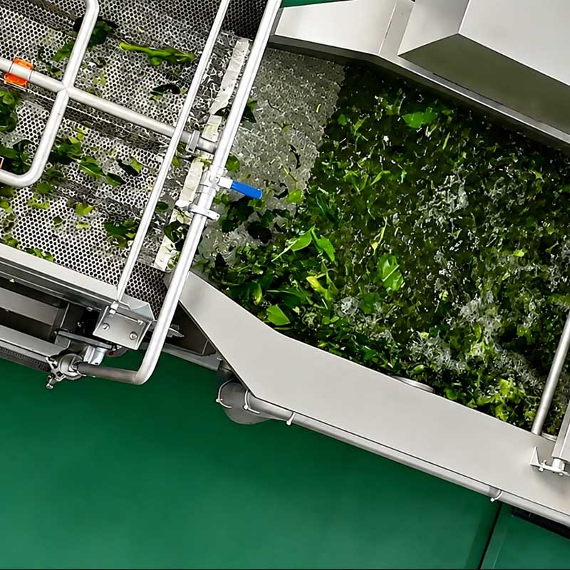Vortex washing machine for leafy greens and salad vegetables Vortex washing machine for leafy greens and salad vegetables