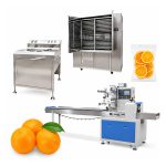 automatic orange washing drying and grading processing line
