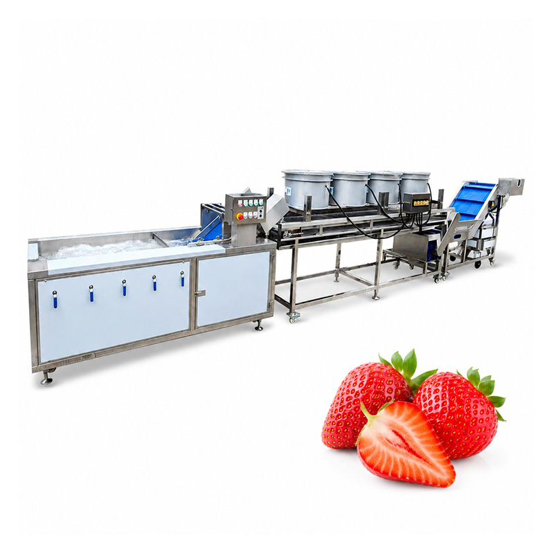 strawberry processing line equipment strawberry processing line equipment