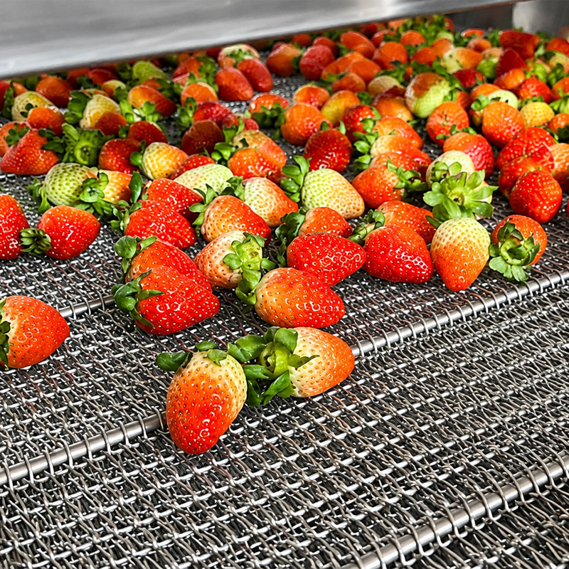 fruit processing conveyor system fruit processing conveyor system