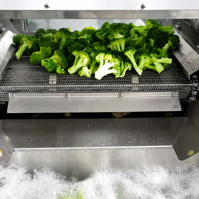 vegetable blanching machine for commercial food processing vegetable blanching machine for commercial food processing