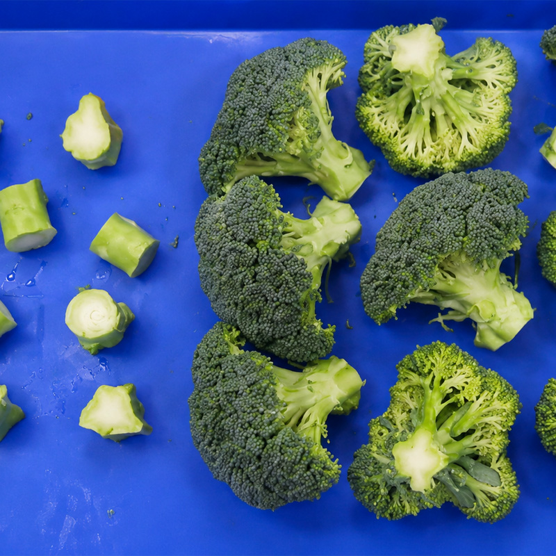 broccoli cutting machine producing uniform broccoli pieces broccoli cutting machine producing uniform broccoli pieces