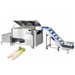 industrial white radish washing production line for vegetable processing