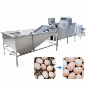 Commercial egg washing line
