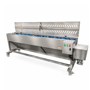 Automatic asparagus peeling machine for vegetable processing
