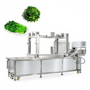 Continuous vegetable blanching machine for food processing