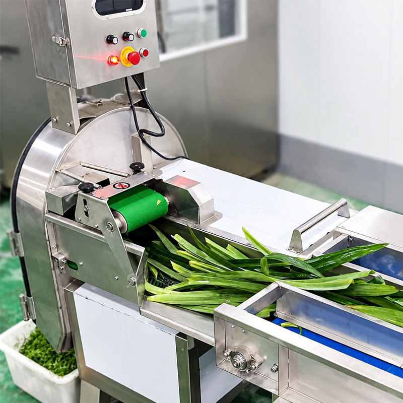 Pandan leaves cleaning equipment for food processing applications Pandan leaves cleaning equipment for food processing applications