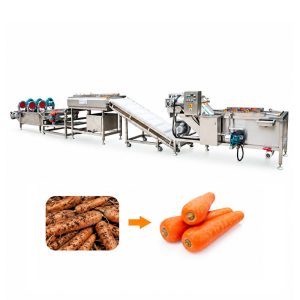 Automatic carrot washing and drying processing line for fresh carrots