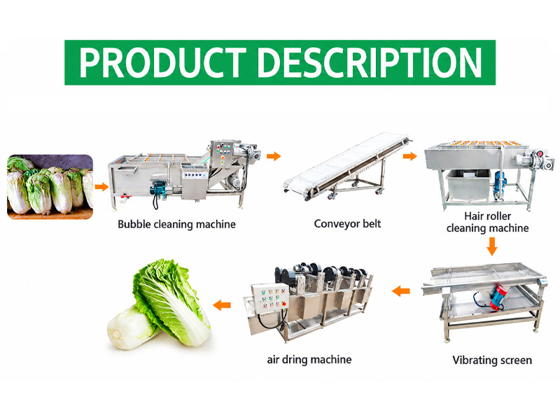 Vegetable washing and cutting line process with continuous processing equipment