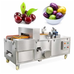 Automatic fruit pitting machine for cherry olive and plum