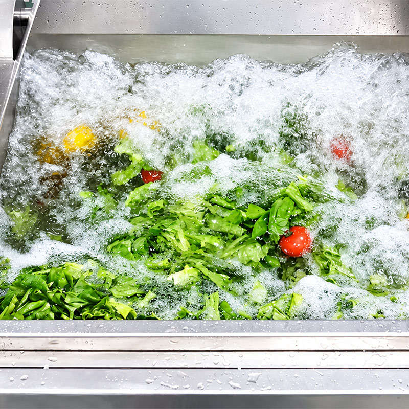 Bubble washing equipment for vegetable and food processing Bubble washing equipment for vegetable and food processing