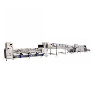 Industrial orange washing, dewatering and sorting line for fruit processing